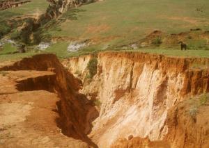 Soil Erosion And Control Measures Structville