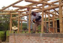 Properties of Bamboo as a Structural Member in Construction