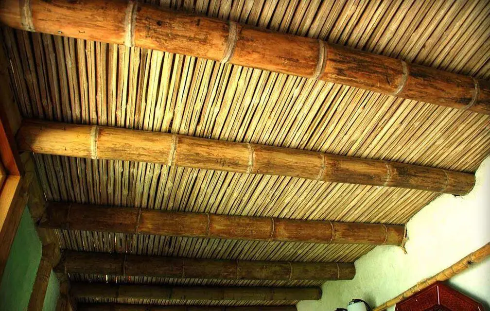 bamboo beams