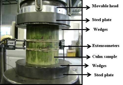 compression test on bamboo