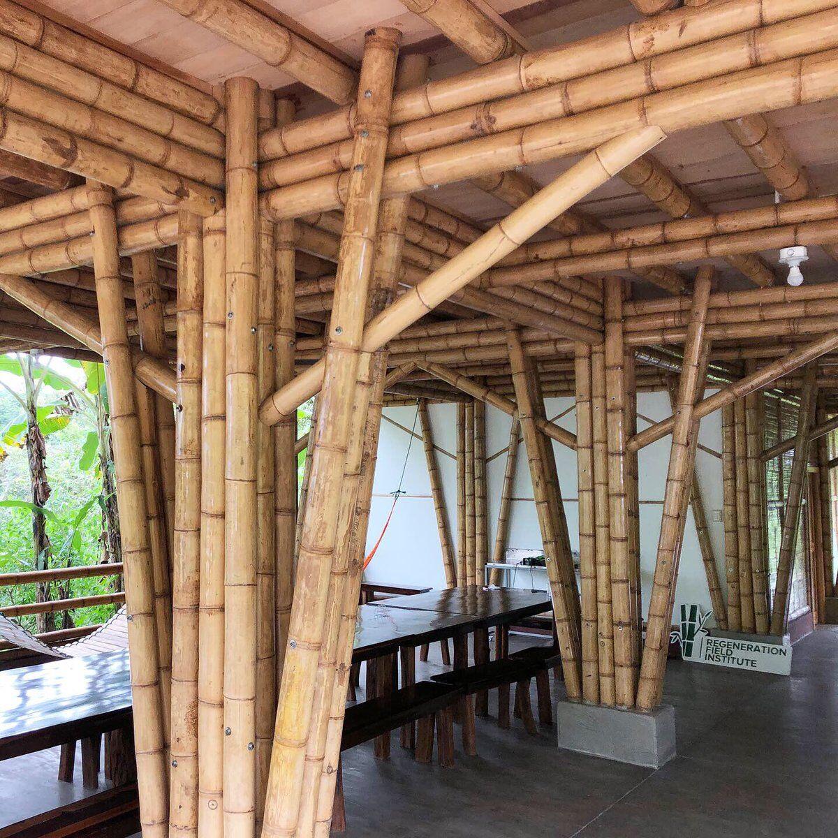 Guadua Bamboo In Construction 