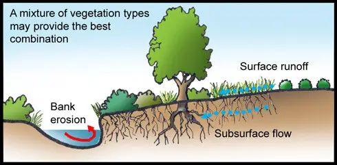 VEGETATIVE COVER FOR EROSION CONTROL