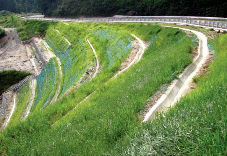 Erosion Control Berm