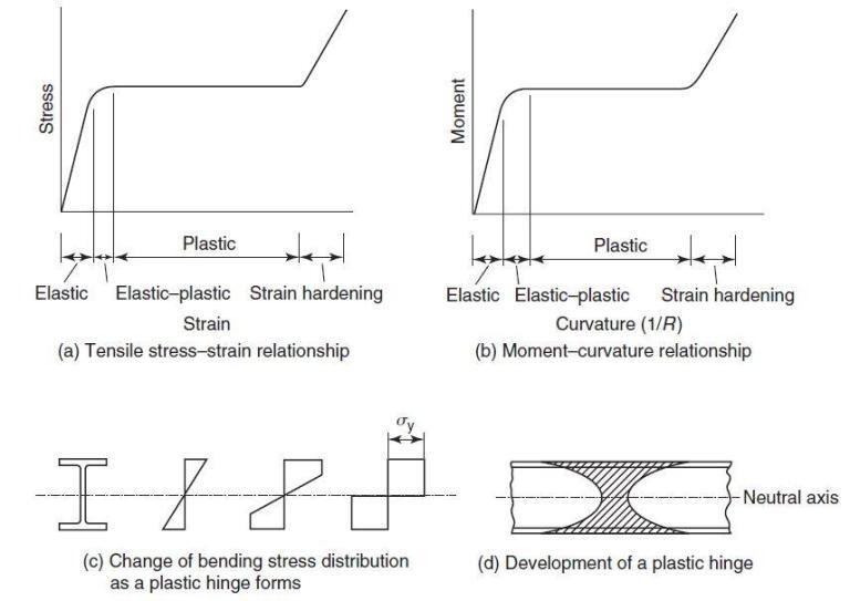 Analysis and Properties of Plastic Sections - Structville