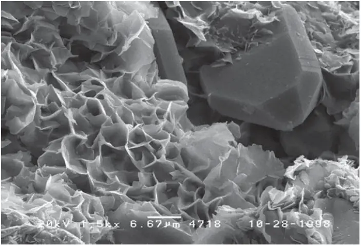 Scanning electron micrograph of montmorillonite 