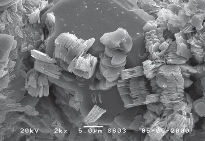 Scanning electron micrograph of kaolinite
