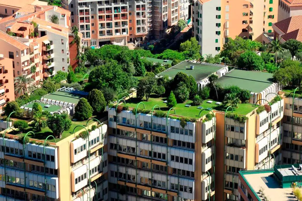 green roofs