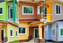 Essential Painting Advice for Homeowners: Tips and Techniques for a Successful Project House